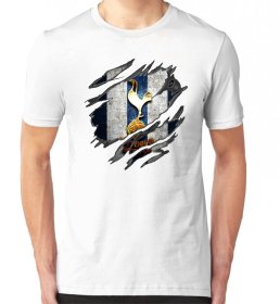 Gold Tottenham Hotspur Pánske Tričko ⠀