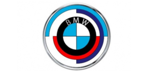 BMW Art Car - Tagliare - Donna