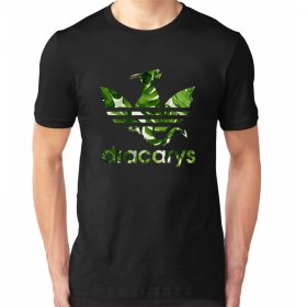 Dracarys Green Moška Majica